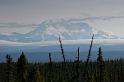 0379 Wrangell Mt.